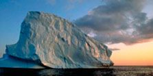 Icebergs Greenland Arctic