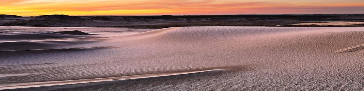 Råbjerg Mile Skagen Danmark