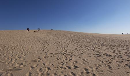 Råbjerg Mile Skagen Danmark