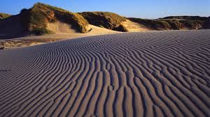 Råbjerg Mile Skagen Danmark