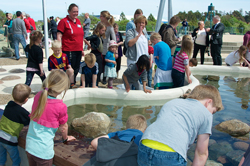 Nordsø Oceanarium Hirtshals