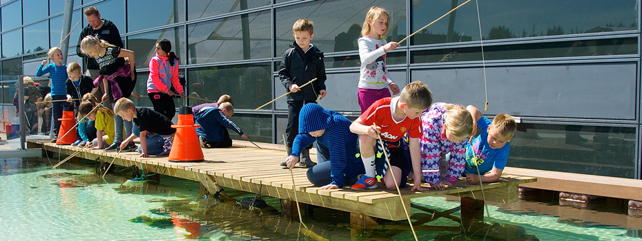 Nordsø Oceanarium Hirtshals