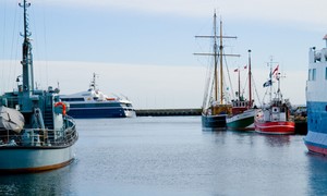 Havfiskeri fisketure og på Øresund fra Helsingør Helsingør Sport, Fritid Nordsjælland